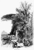 Italy: Florence, C1875. /Nscene In The Cascine Park, Florence, Italy. Wood Engraving, C1875, After Harry Fenn. Poster Print by Granger Collection - Item # VARGRC0078256