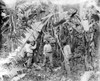 Costa Rica: Banana Grove. /Nworkers Cutting Bananas From The Trees In A Banana Grove, Costa Rica. Photograph, Early 20Th Century. Poster Print by Granger Collection - Item # VARGRC0118569