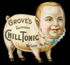 Patent Medicine, C1885. /Namerican Advertising Display Card For Grove'S Chill Tonic. Poster Print by Granger Collection - Item # VARGRC0009657