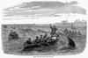 Devil Fishing, 1858. /N'Chasing The Devilfish In South Carolina.' Wood Engraving, English, 1858. Poster Print by Granger Collection - Item # VARGRC0080348