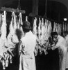 Chicago: Meatpacking. /Nfactory Workers Washing And Tagging Freshly Killed Lamb At The Swift And Company Meatpacking House In Chicago, Illinois. Stereograph, C1906. Poster Print by Granger Collection - Item # VARGRC0117028