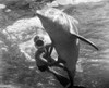 Film Still: Flipper, 1964. /Nluke Halpin And The Dolphin Known As Flipper, In A Still From The 1964 Motion Picture. Poster Print by Granger Collection - Item # VARGRC0100548