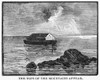 Noah'S Ark. /Nthe Tops Of The Mountains Appear. Wood Engraving, 19Th Century. Poster Print by Granger Collection - Item # VARGRC0038481