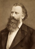 Johannes Brahms (1833-1897). /Ngerman Composer And Pianist. Poster Print by Granger Collection - Item # VARGRC0003699