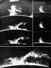 Prominences on the Sun, 1937 Poster Print by Science Source