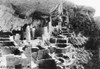 Mesa Verde: Cliff Palace. /Nprehistoric Pueblo Native American Dwelling Ruins At Mesa Verde National Park, Colorado. Stereograph, C1917. Poster Print by Granger Collection - Item # VARGRC0129756