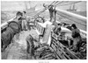 Cod Fishing, 1891. /Nfishermen On The Grand Banks Off The Coast Of Newfoundland Preparing Their Catch. Wood Engraving, American, 1891. Poster Print by Granger Collection - Item # VARGRC0077450