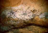 Deer: Lascaux, France. /Nfive Heads Of Deer From The Cave Of Lascuax, Montignac, France. Poster Print by Granger Collection - Item # VARGRC0023152