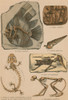Illustrated Geology and Paleontology Poster Print by Science Source - Item # VARSCIBW7038