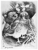 Blackburn: Birds, 1895. /N'Young Kestrels.' Illustration By Jemima Blackburn, 1895. Poster Print by Granger Collection - Item # VARGRC0525920