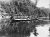 New Zealand, C1920. /Nmaori People Canoeing, Probably On The Wanganui River, In New Zealand. Photograph, C1920. Poster Print by Granger Collection - Item # VARGRC0351707