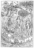 Adam & Eve, 1491. /Nthe Garden Of Eden, The Creation Of Eve, And The Fall. Woodcut By Michael Wolgemut, From The Schatzbehalter Manuscript Published In Nuremberg, 1491. Poster Print by Granger Collection - Item # VARGRC0268848