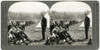 World War I: Cavalry. /Nbritish Cavalry Camp Where Horses Are Being Fed And Rested, During World War I. Stereograph, C1914-1918. Poster Print by Granger Collection - Item # VARGRC0325742