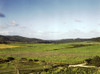 Puerto Rico: Farm, 1941. /Nsugarcane Plantations In Yabucoa Valley, Puerto Rico. Photograph By Jack Delano, December 1941. Poster Print by Granger Collection - Item # VARGRC0122723