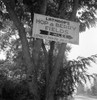 Roadside Sign, 1939. /Na Sign Off U.S. Highway 99 In Josephine County, Oregon, Advertising Migrant Jobs At Lathrop'S Hop & Berry Fields. Photograph By Dorothea Lange, August 1939. Poster Print by Granger Collection - Item # VARGRC0123985