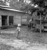 Sharecropper, 1939. /Nan African American Sharecropper Feeding The Pigs On A Farm In Granville County, North Carolina. Photograph By Dorothea Lange, July 1939. Poster Print by Granger Collection - Item # VARGRC0123712