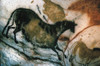 Cave Art: Lascaux. /Nhorse From The Cave Of Lascaux, Montignac, France. Poster Print by Granger Collection - Item # VARGRC0023155