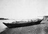 Alaska: Dugout Canoe, 1905. /Na Tlingit Dugout Canoe On The Shore At Sitka, Alaska. Photographed In 1905. Poster Print by Granger Collection - Item # VARGRC0173037