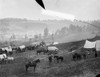 Civil War: Union Camp. /Nview Of A Union Camp From The Peninsular Campaign In Cumberland Landing, Virginia. Photograph, May 1862. Poster Print by Granger Collection - Item # VARGRC0409228