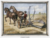 Farming: Harvesting. /Nharvesting Grain With One Of Cyrus Hall Mccormick'S Reapers. Wood Engraving, American, 1884. Poster Print by Granger Collection - Item # VARGRC0104329