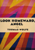 Wolfe: Look Homeward. /Nfront Jacket Cover From The First Edition, 1929, Of Thomas Wolfe'S Novel "Look Homeward, Angel." Poster Print by Granger Collection - Item # VARGRC0043487