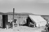 New Mexico: Homesteader. /Nthe Temporary Camp Of The Caudill Family While They Move Their Dugout In Pie Town, New Mexico. Photograph By Russell Lee, 1940. Poster Print by Granger Collection - Item # VARGRC0352597