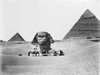 Egypt: Great Sphinx. /Na View Of The Great Sphinx With Pyramids In The Background, Giza, Egypt. Photograph, Mid Or Late 19Th Century. Poster Print by Granger Collection - Item # VARGRC0120562
