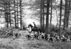 England: Fox Hunting. /Nphotographed In The 20Th Century. Poster Print by Granger Collection - Item # VARGRC0080990