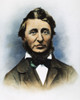 Henry David Thoreau. /N(1817-1862). American Writer. Oil Over A Daguerreotype, 1856. Poster Print by Granger Collection - Item # VARGRC0009359