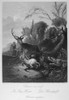 Stag Hunt, 19Th Century. /Nsteel Engraving, German, 19Th Century. Poster Print by Granger Collection - Item # VARGRC0100810