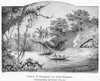 Amazon Jungle, 1892. /Na Scene On The Upper Amazon. Drawing, German, 1892. Poster Print by Granger Collection - Item # VARGRC0017478