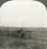 World War I: Cannon. /Nan Austrian Marine Gun Captured By Allied Forces On The Italian Front During World War I. Stereograph, C1914-1918. Poster Print by Granger Collection - Item # VARGRC0325727