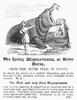 Barnum'S American Museum. /Nadvertisement For The Hippopotamus Exhibition At Barnum'S American Museum, 1861. Poster Print by Granger Collection - Item # VARGRC0101757