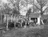 Butchering, 19Th Century. /Nmen Butchering Hogs In Richmond, Virginia. Photograph, Late 19Th Century. Poster Print by Granger Collection - Item # VARGRC0260073