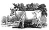 Wild Cattle. /Nwood Engraving, 1790, By Thomas Bewick. Poster Print by Granger Collection - Item # VARGRC0071079