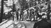 World War I: Chasseurs. /Nfrench Alpine Chasseurs Dressed In White And On Skis In The Vosges Mountains During World War I. Photograph, C1916. Poster Print by Granger Collection - Item # VARGRC0407974