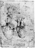 Leonardo: Anatomy. /Nox Heart, C1513. Poster Print by Granger Collection - Item # VARGRC0000535