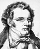 Franz Schubert (1797-1828). /Naustrian Composer. Wood Engraving, German, 19Th Century. Poster Print by Granger Collection - Item # VARGRC0005146