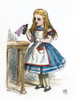 Carroll: Alice, 1865. /Nalice Finds The Bottle Labled 'Drink Me.' Illustration By John Tenniel From The First Edition Of Lewis Carroll'S 'Alice'S Adventures In Wonderland,' 1865. Poster Print by Granger Collection - Item # VARGRC0009869
