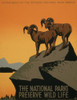 National Park Poster, C1937. /Nposter By The National Park Service Promoting Tourism To National Parks, C1937. Poster Print by Granger Collection - Item # VARGRC0173241