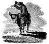 Man Riding A Donkey. /Nwood Engraving, Early 19Th Century. Poster Print by Granger Collection - Item # VARGRC0070220