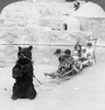 World'S Fair: Eskimos./Neskimo Children On A Sled Drawn By A Trained Bear At The World'S Fair, St. Louis, Missouri, U.S.A. Photograph, C1904. Poster Print by Granger Collection - Item # VARGRC0121909