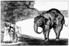 Goya: Elephant, C1820. /N'Otras Leyes Por El Pueblo' (Other Laws For The People). Etching, C1820, From 'Disparates' By Francisco Goya. Poster Print by Granger Collection - Item # VARGRC0114789