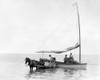 Key West: Cart & Boat, C1890. /Na Sailboat Loading Cargo Onto A Horse-Drawn Cart On The Coast At Key West, Florida. Photograph, C1900. Poster Print by Granger Collection - Item # VARGRC0131109 Key West: Cart & Boat, C1890. /Na Sailboat Loading Cargo Onto A Horse-Drawn Cart On The Coast At Key West, Florida. Photograph, C1900. Poster Print by Granger Collection - Item # VARGRC0131109