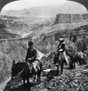 Grand Canyon: Sightseers. /Na Man And A Woman Riding Mules Along The Edge Of A Precipice On The Grand View Trail In The Grand Canyon In Arizona. Stereograph, C1906. Poster Print by Granger Collection - Item # VARGRC0129274