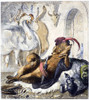 Reynard The Fox, 1846. /Nsteel Engraving, German, 1846, After Wilhelm Von Kaulbach, For An Edition Of Johann Wolfgang Von Goethe'S Adaptation Of The Medieval Epic 'Reynard The Fox.' Poster Print by Granger Collection - Item # VARGRC0103769