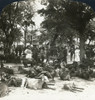 Spain: Seville, C1908. /N'A Picturesque Scene At The Great Annual Cattle Fair, Seville, Spain.' Stereograph, C1908. Poster Print by Granger Collection - Item # VARGRC0323724