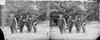 Civil War: Captain Gibson. /Ncaptain Horatio G. Gibson (Second From Left) And Officers Of His Battery In Fair Oaks, Virginia. Photograph By James F. Gibson, June 1862. Poster Print by Granger Collection - Item # VARGRC0409233