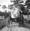 Florida: Moving Day, 1936. /Nmoving Day In Turpentine Pine Forest Country In Florida. Photograph By Dorothea Lange, 1936. Poster Print by Granger Collection - Item # VARGRC0353550