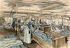 Boer War: Hospital Ship. /Nwounded British Soldiers Onboard A Hospital-Ship Returning To England From South Africa During The Boer War. Line Engraving, English, 1900. Poster Print by Granger Collection - Item # VARGRC0053798